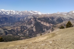Péone, aliège, Col de Crous, Tête de Méric, Azur Mercantour Nature, Randonnée dans le 06, Vallée Haut Var,  Tuébi