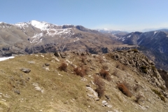 Péone, aliège, Col de Crous, Tête de Méric, Azur Mercantour Nature, Randonnée dans le 06, Vallée Haut Var,  Tuébi