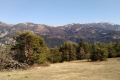 Péone, aliège, Col de Crous, Tête de Méric, Azur Mercantour Nature, Randonnée dans le 06, Vallée Haut Var,  Tuébi