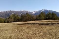 Péone, aliège, Col de Crous, Tête de Méric, Azur Mercantour Nature, Randonnée dans le 06, Vallée Haut Var,  Tuébi