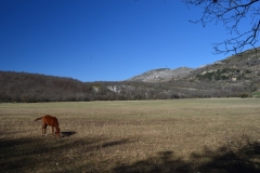 Montagne de Thiey -Canaux, Terres d'émotions, Randonnée dans le 06