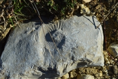 Montagne de Thiey -Canaux, Terres d'émotions, Randonnée dans le 06