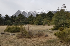 Hameaux de Sauze, Vallée du Var, Terres d'émotions, Randonnée dans le 06