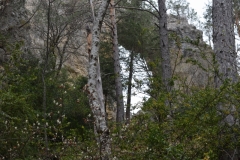 Hameaux de Sauze, Vallée du Var, Terres d'émotions, Randonnée dans le 06