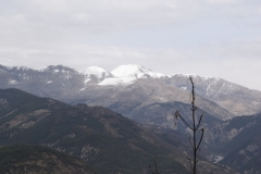 Hameaux de Sauze, Vallée du Var, Terres d'émotions, Randonnée dans le 06