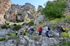 Moustiers Ste Marie, Lac de Sainte Croix, Gorges du Verdon, Terres d'émotions, Randonnées dans le 83.