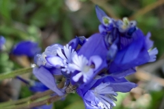 Moustiers Ste Marie, Lac de Sainte Croix, Gorges du Verdon, Terres d'émotions, Randonnées dans le 83.