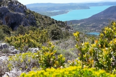 Moustiers Ste Marie, Lac de Sainte Croix, Gorges du Verdon, Terres d'émotions, Randonnées dans le 83.