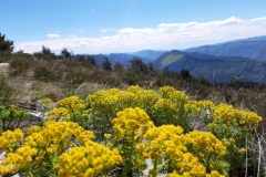 Tête de travers, Vallée du Var, Terres d'émotions, Castellet les Sausses, Col du Fa, Randonnée dans le 06