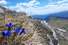 Tête de travers, Vallée du Var, Terres d'émotions, Castellet les Sausses, Col du Fa, Randonnée dans le 06