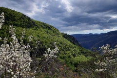 Tête de travers, Vallée du Var, Terres d'émotions, Castellet les Sausses, Col du Fa, Randonnée dans le 06