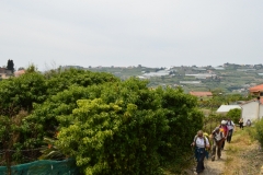 Bussana Vecchia, Italie, Ligurie,  Terres d'émotions