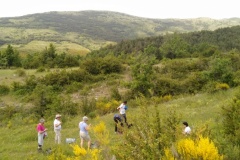 Bezaudun, sommet du Vériou, Terres d'émotions, Randonnée dans le 06