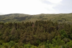 Bezaudun, sommet du Vériou, Terres d'émotions, Randonnée dans le 06