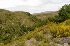 Bezaudun, sommet du Vériou, Terres d'émotions, Randonnée dans le 06