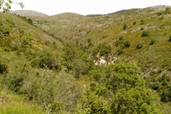 Bezaudun, sommet du Vériou, Terres d'émotions, Randonnée dans le 06