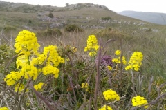 Bezaudun, sommet du Vériou, Terres d'émotions, Randonnée dans le 06