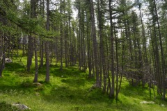 Lacs scluos, Vésubie, Terres d'émotions, Randonnée dans le 06