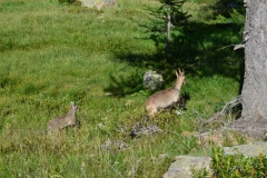 Valmasque, Lac de grenouilles, vallée des Merveilles, Terres d'émotions, Randonnée dans le 06