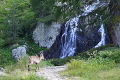 Valmasque, Lac de grenouilles, vallée des Merveilles, Terres d'émotions, Randonnée dans le 06