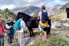 Lacs des verrairiers, Vallée de la gordolasque, Pas du Trem, Cime du diable, Terres d'émotions. Randonnée dans le 06