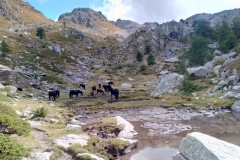 Lacs des verrairiers, Vallée de la gordolasque, Pas du Trem, Cime du diable, Terres d'émotions. Randonnée dans le 06