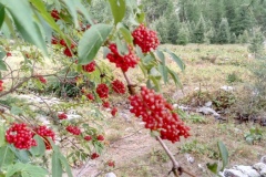 Lacs des verrairiers, Vallée de la gordolasque, Pas du Trem, Cime du diable, Terres d'émotions. Randonnée dans le 06
