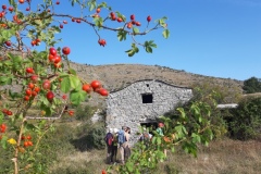 Vallon de caïros, Terres  d'émotions, randonnée dans le 06, Cime de coss, Plateau de la céva