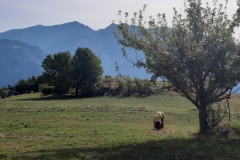 Vallon de caïros, Terres  d'émotions, randonnée dans le 06, Cime de coss, Plateau de la céva