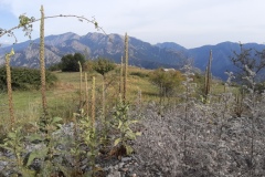 Vallon de caïros, Terres  d'émotions, randonnée dans le 06, Cime de coss, Plateau de la céva