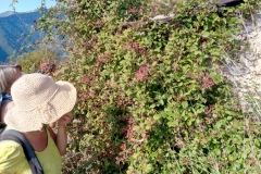 Vallon de caïros, Terres  d'émotions, randonnée dans le 06, Cime de coss, Plateau de la céva