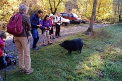 Sources du Var, Terre sd'émotions, entraunes, Estenc, Cascade, randonnée dans le 06
