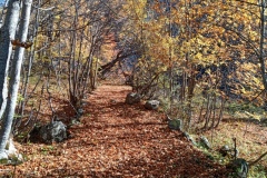Sources du Var, Terre sd'émotions, entraunes, Estenc, Cascade, randonnée dans le 06