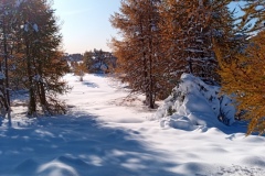 Tête de Garnier, Beuil Les launes, Col de l'espaul, terres d'émotions, randonnée dans le 06, raquettes à neige