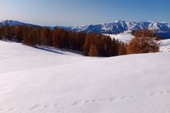 Tête de Garnier, Beuil Les launes, Col de l'espaul, terres d'émotions, randonnée dans le 06, raquettes à neige