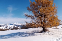 Tête de Garnier, Beuil Les launes, Col de l'espaul, terres d'émotions, randonnée dans le 06, raquettes à neige