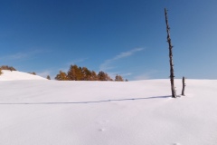 Tête de Garnier, Beuil Les launes, Col de l'espaul, terres d'émotions, randonnée dans le 06, raquettes à neige