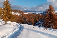 Tête de Garnier, Beuil Les launes, Col de l'espaul, terres d'émotions, randonnée dans le 06, raquettes à neige