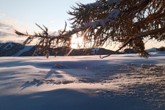 Tête de Garnier, Beuil Les launes, Col de l'espaul, terres d'émotions, randonnée dans le 06, raquettes à neige
