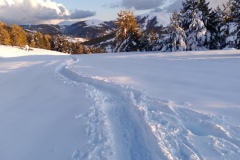 Tête de Garnier, Beuil Les launes, Col de l'espaul, terres d'émotions, randonnée dans le 06, raquettes à neige