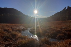 Castellaras de Thorenc, Parc des monts d'azur, Terres d'émotions, Bisons, chevaux, cerfs, randonnée dans le 06