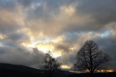Castellaras de Thorenc, Parc des monts d'azur, Terres d'émotions, Bisons, chevaux, cerfs, randonnée dans le 06