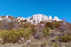 Castellaras de Thorenc, Parc des monts d'azur, Terres d'émotions, Bisons, chevaux, cerfs, randonnée dans le 06