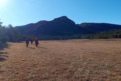 Castellaras de Thorenc, Parc des monts d'azur, Terres d'émotions, Bisons, chevaux, cerfs, randonnée dans le 06