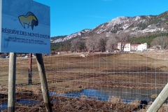 Castellaras de Thorenc, Parc des monts d'azur, Terres d'émotions, Bisons, chevaux, cerfs, randonnée dans le 06