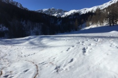 Lac des grenouilles, Casterino, Terres d'émotions, Mont Bego, Vallée de Fontanalbe
