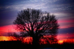 Gorges du Caramy, Tourves, Chapelle Saint Probace, Terres d'émotions, randonnée dans le 83