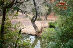 Gorges du Caramy, Tourves, Chapelle Saint Probace, Terres d'émotions, randonnée dans le 83