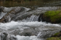 Gorges du Caramy, Tourves, Chapelle Saint Probace, Terres d'émotions, randonnée dans le 83