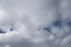 L' Arpille, le mas, Vallée de l'Estéron, randonnée dans le 06, terres d'émotions